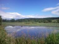 Великі Глібовичі з panoramio.com