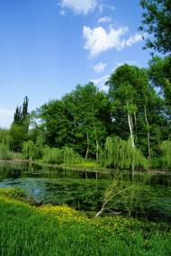 Самсонове з panoramio.com