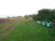 Лецьки з panoramio.com