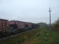 Буйволівці з panoramio.com