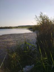 Суховоля з panoramio.com