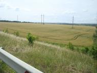 Мала Колибань з panoramio.com