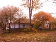 Ріпна з panoramio.com