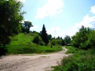 Араповичи з panoramio.com