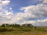 Піщанівка з panoramio.com