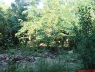 Новоочаків з panoramio.com