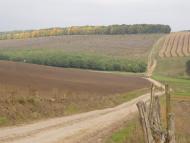 Онопріївка з panoramio.com