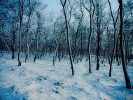 Теплогірськ з panoramio.com