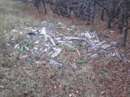 Гірське з panoramio.com