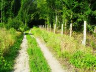 Городок з panoramio.com