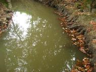 Пилипи з panoramio.com