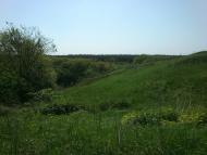 Великомихайлівка з panoramio.com