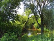 Верхня Кринка з panoramio.com