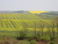 Млинівці з panoramio.com