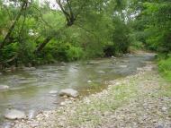 Павлово з panoramio.com