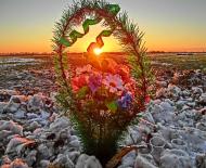 Сургани з panoramio.com