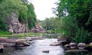 Буки з panoramio.com - Буки