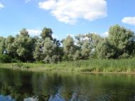 Келеберда з panoramio.com