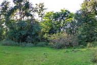 Новофастів з panoramio.com