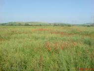 Насташине з panoramio.com