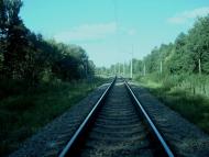 Дубіївка з panoramio.com