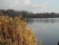 Камплиця з panoramio.com