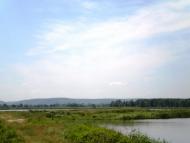 Бір-Кунинський з panoramio.com