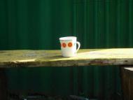 Іванківці з panoramio.com