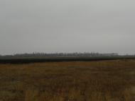 Меліоративне з panoramio.com - Мелиоративное