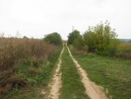 Велика Бушинка з panoramio.com