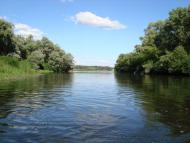 Келеберда з panoramio.com