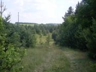 Бережне з panoramio.com