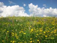 Михайлівка з panoramio.com