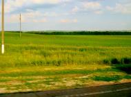 Бране Поле з panoramio.com