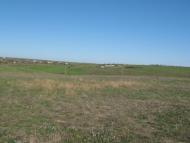 Будячки з panoramio.com