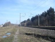 Радівці з panoramio.com