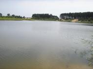 Олександрія - Останні фото