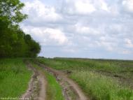 Новокалинове з panoramio.com