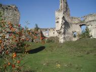 Сидорів з panoramio.com