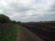 Тарасенки з panoramio.com