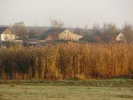 Козубівка з panoramio.com