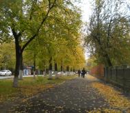 Володимирівське з panoramio.com