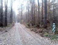 Вишняки з panoramio.com - Вишняки