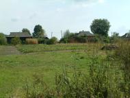 Рижики з panoramio.com