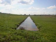 Тарасове з panoramio.com