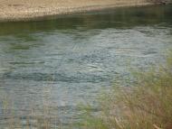 Мельнич з panoramio.com