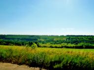 Багачівка з panoramio.com