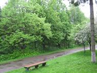 Антопіль з panoramio.com