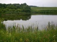 Кологори з panoramio.com