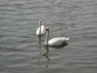 Борятин з panoramio.com